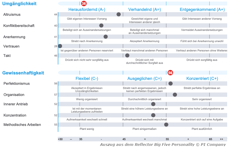 Auszug Bericht Big Five Persönlichkeitsfragebogen "Reflector Big Five Personality", basierend auf dem Big Five Persönlichkeitsmodell