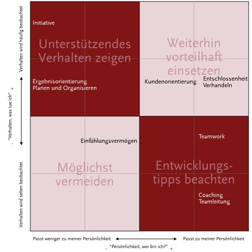 Performance Improvement Plan PI Company - Beispiel